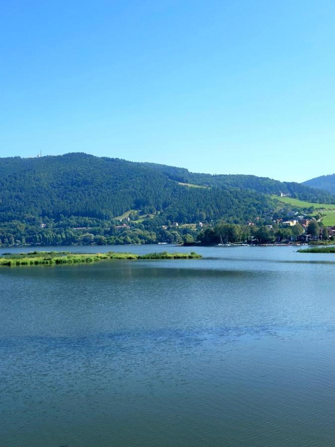 Pokoje Goscinne U Brody Miedzybrodzie Zywieckie Kültér fotó